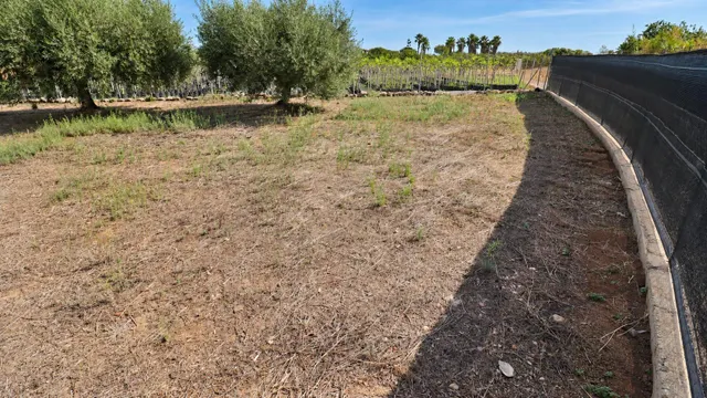 Prat en Las Casas de Alcanar — 18