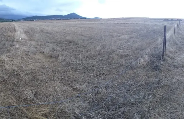 Parcela de 6100 m2 al lado del cordel en Sierra de Fuentes