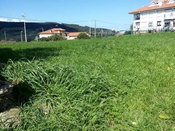 TERRENO URBANO EN MERUELO — 4