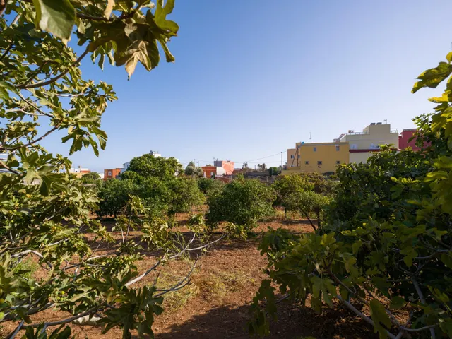 Finca rústica con amplia vivienda y azotea en Las Mejías – Ingenio, Gran Canaria — 25