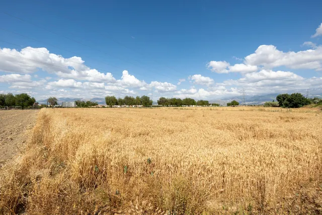Parcela de 5000 metros junto al mercadona de Hijar — 20