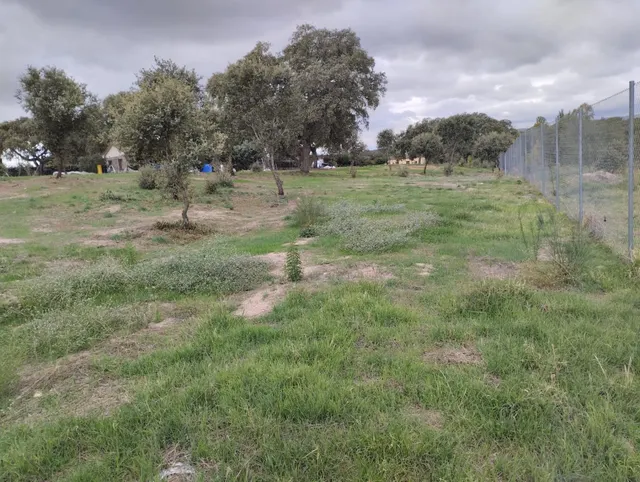 EXCLUSIVAS ROMERO, comercializa parcela en urbanizacion Los Reguerones — 11