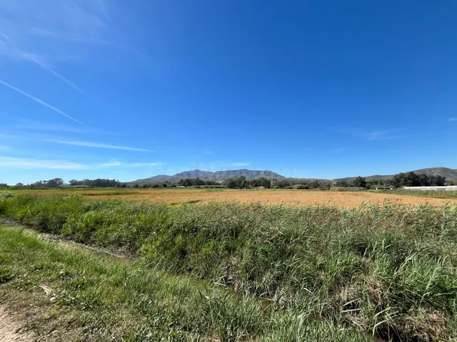 UNA FINCA PARA DISFRUTAR - foto 5