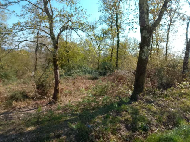 SE VENDE TERRENO EDIFICABLE EN BRANS DE ABAIXO (BRIÓN) - foto 2