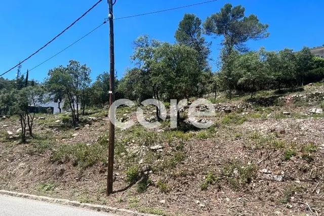 Las mejores parcelas de Sant Feliu del Racó — 8