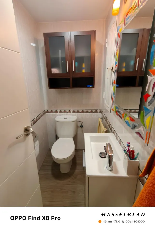 Chalet Estudiantes en La Ñora - ¡Solo Chicas! — 21