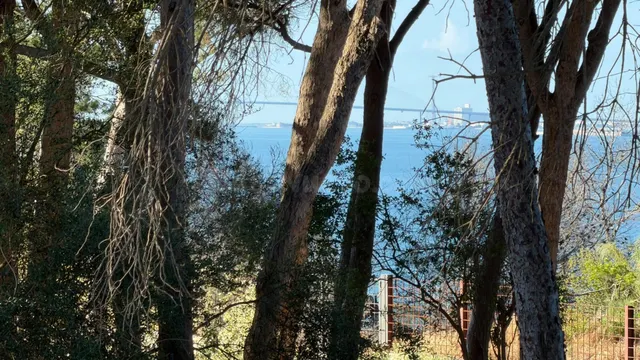 SE VENDE ADOSADO EN EL PUERTO DE SANTA MARIA , ZONA EL MANAN - foto 5
