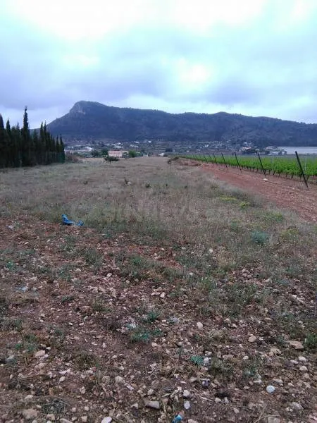 SE VENDE TERRENO RUSTICO EN ASPE ZONA ALCANA - foto 2