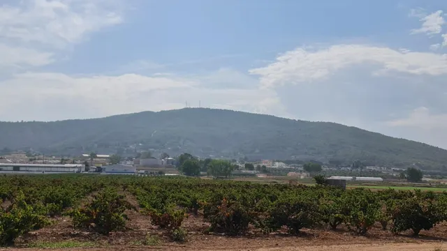 Terreno rústico en venta cerca Pinoso (Alicante) — 12