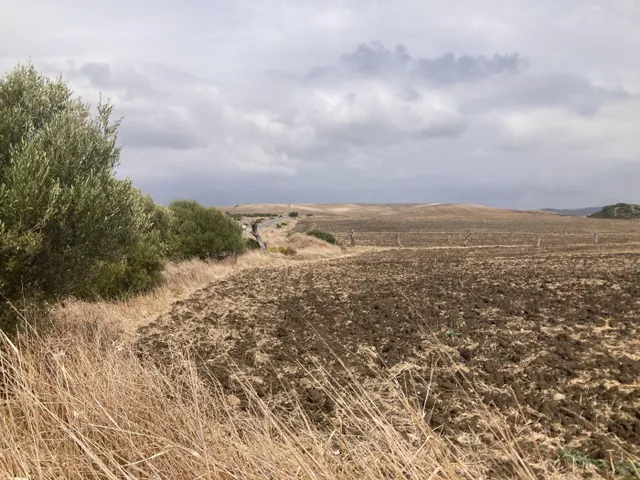 PARCELA RÚSTICA EN LA CARRETERA VEJER- EL PALMAR — 4