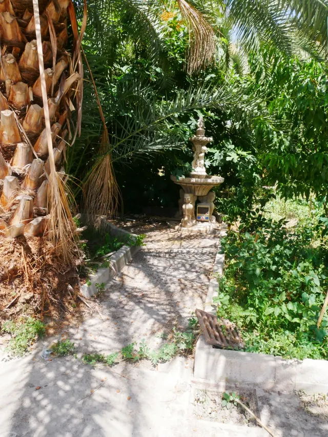 Se venden naves con parcela de 2.868 m2 en Senda De los Garres — 9