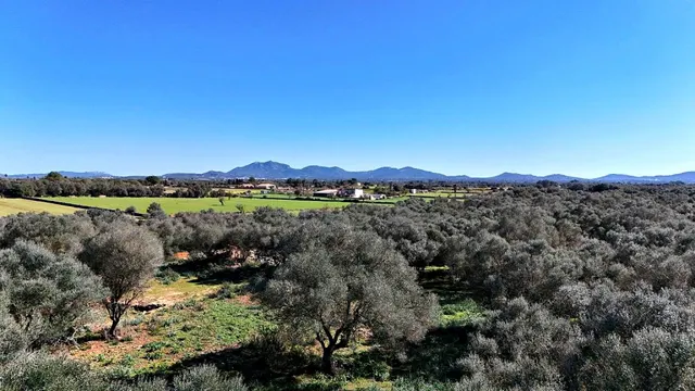 Solar residencial en Venta en Felanitx Baleares — 19
