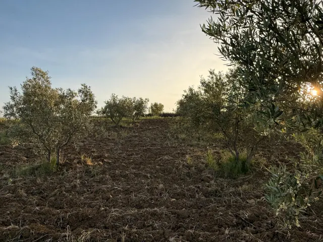 TERRENO RURAL EN VENTA — 3