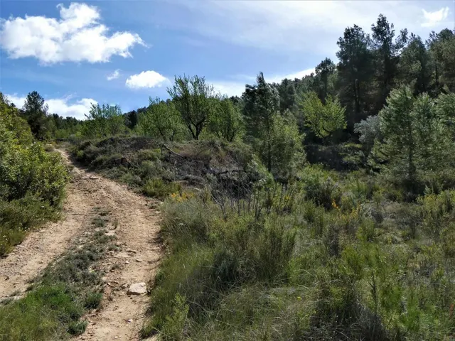 Suelo rústico en Venta en Lledo Teruel - foto 4