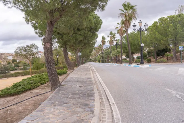 VENTA DE PARCELA EN LA URBANIZACIÓN CAÑADAS DEL PARQUE — 30