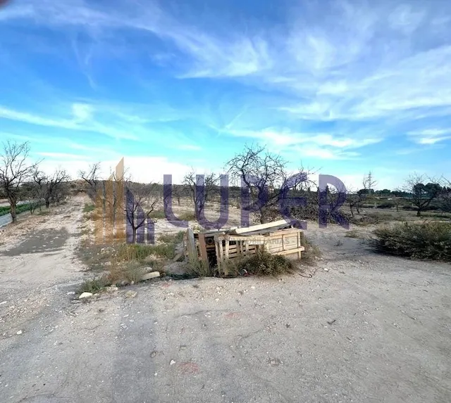 Parcela rústica urbanizable en Agost- 13.095m2 con viñas en  - foto 3