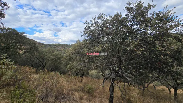 FINCA RUSTICA CON VIVIENDA — 11