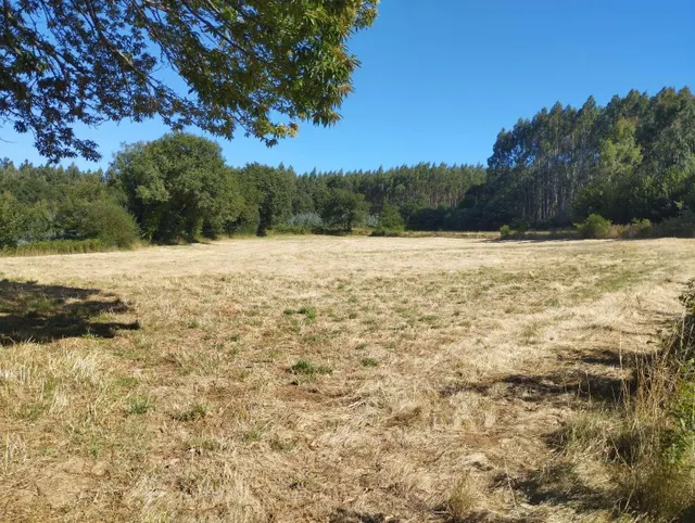 Finca rústica en Begonte, Lugo. - foto 4