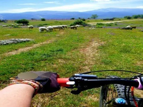 VENTA.-.CINCO GARAJES.-.PALAZUELOS DE ERESMA - foto 3