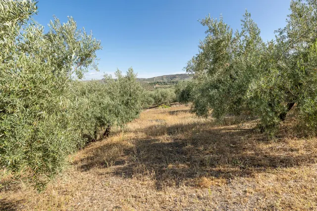 Terreno urbano en Alfacar, perfecto para inversionistas — 17