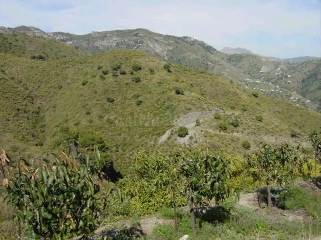 Terreno rural en venta - El Rescate - Río Seco - foto 5
