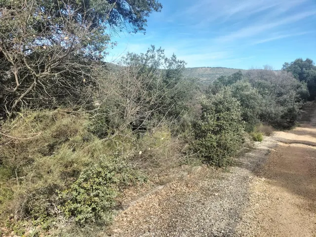 Parcela en venta - Castilla la mancha