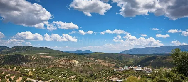 Parcela en venta - Andalucia