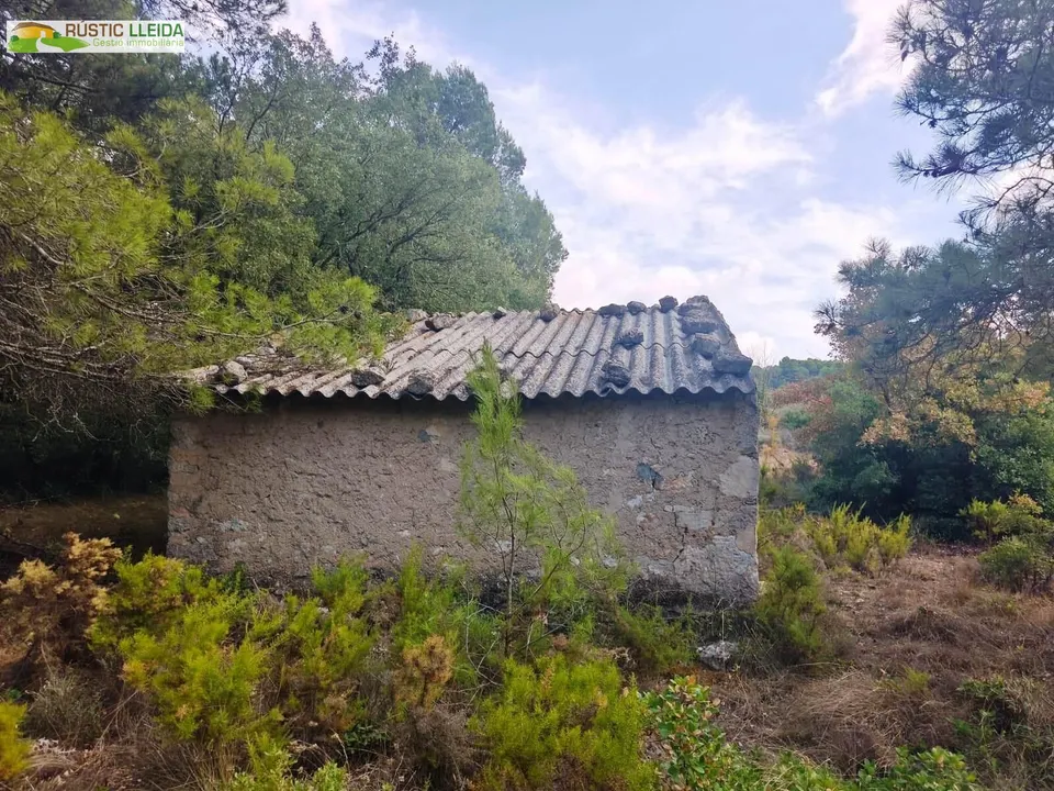 Finca rústica en venta cerca del monasterio del tallat, con cabaña de piedra.