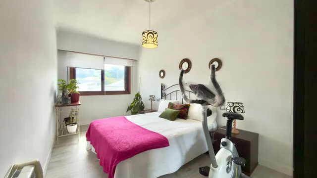 Piso en Venta - ¡Oportunidad en Allariz! 3 habitaciones baño aseo y amueblado — 26