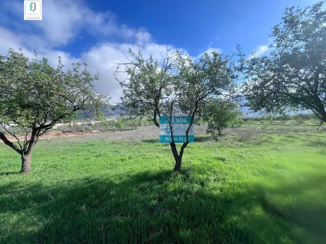 TERRENO RUSTICO EN PADUL — 2