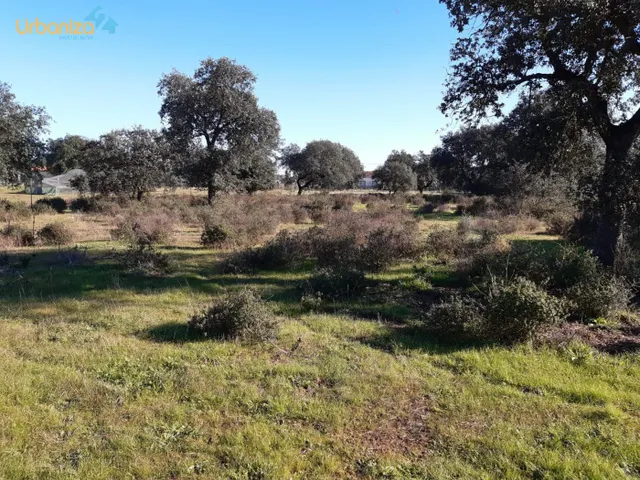 parcela en el coi con  escrituras del terreno totalmente vallada a 10 min de Badajoz — 6