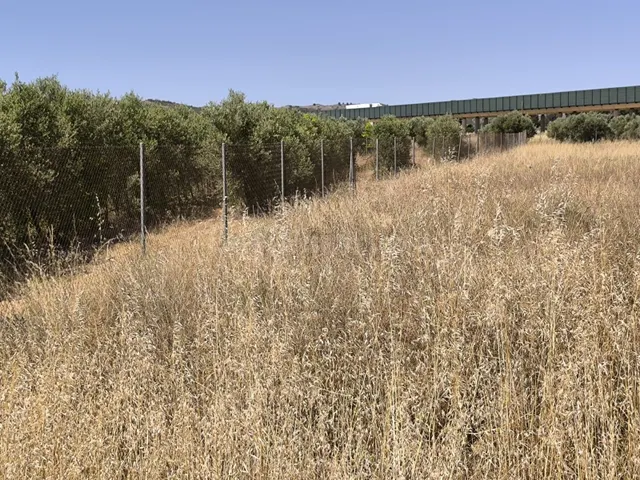 Parcela en venta - Castilla la mancha - foto 2