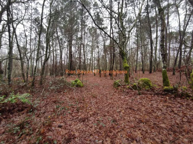 REF  2869 CASA PIEDRA PARA REFORMA INTEGRA CON 4024m2 TERRENO ( PONTEAREAS) — 12