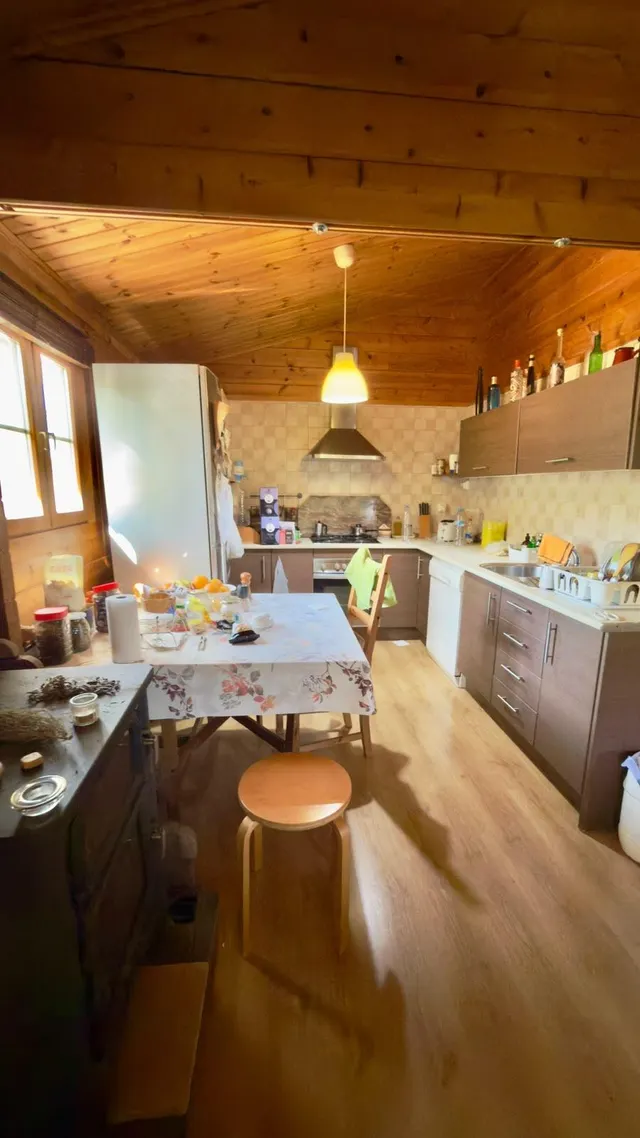 Finca rural con casa, casa auxiliar y 350 oliveras | los valientes — 16