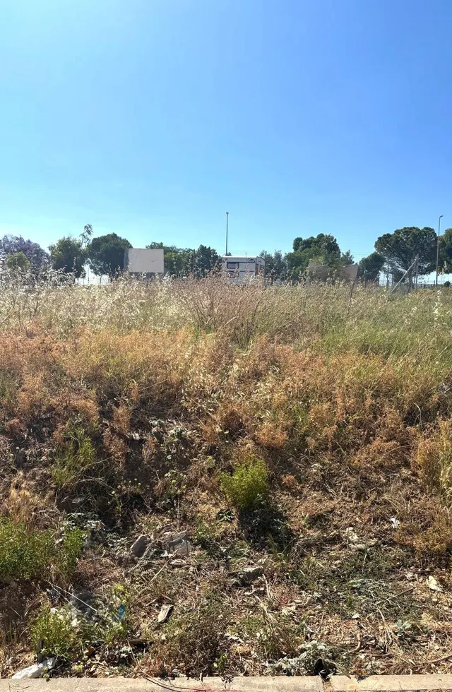 ¡Tu Futuro Comienza Aquí! Terreno en Venta en Gerena - foto 3