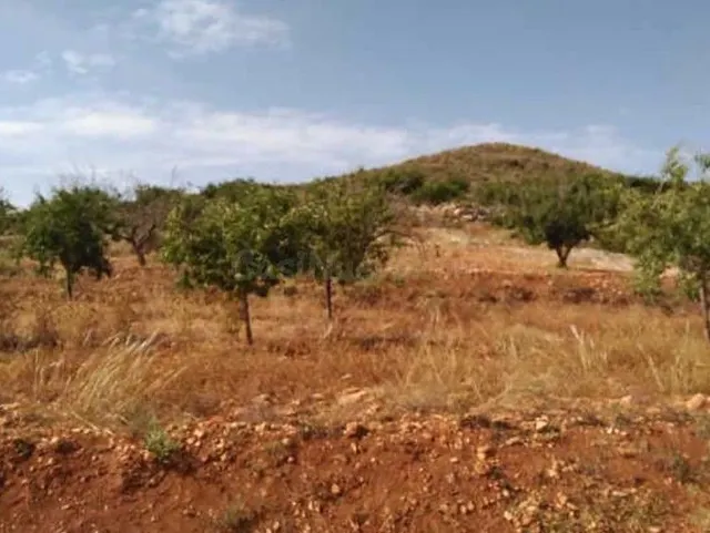 Venta de Terreno en Nº 81 Parcela 363. Paraje Los Simonetes  - foto 4