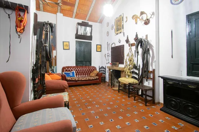 Espectacular finca en carretera mairena - almensilla !!! — 46