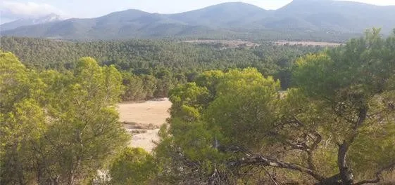 FINCA RUSTICA EN VENTA EN CASTALLA ALICANTE — 5