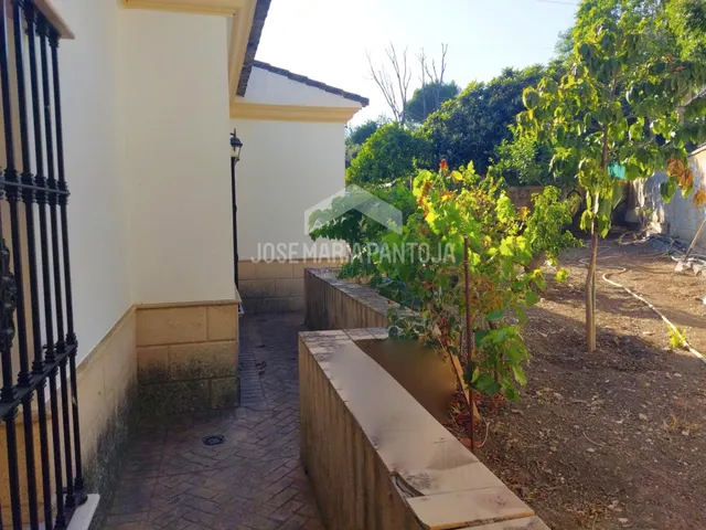 CHALET CON PISCINA EN JUNTA DE LOS RIOS — 47