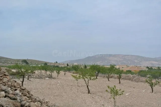 Parcela en venta - Canada del trigo - foto 4