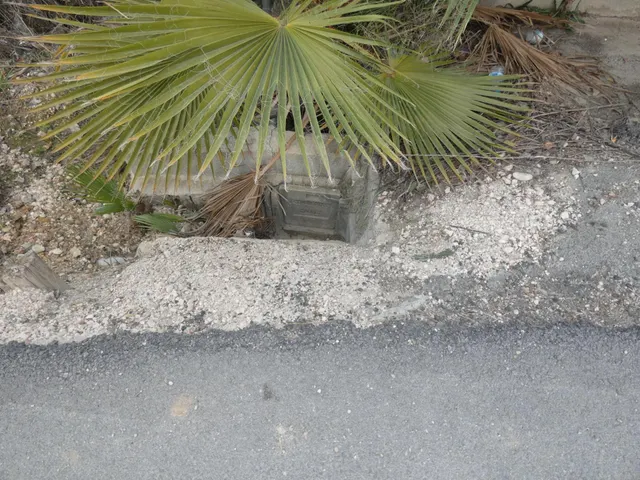 +NO ES SOLO UN TERRENO. ES UN CAMBIO DE VIDA. EN LA LOMA TORRES DE COTILLAS+ — 13