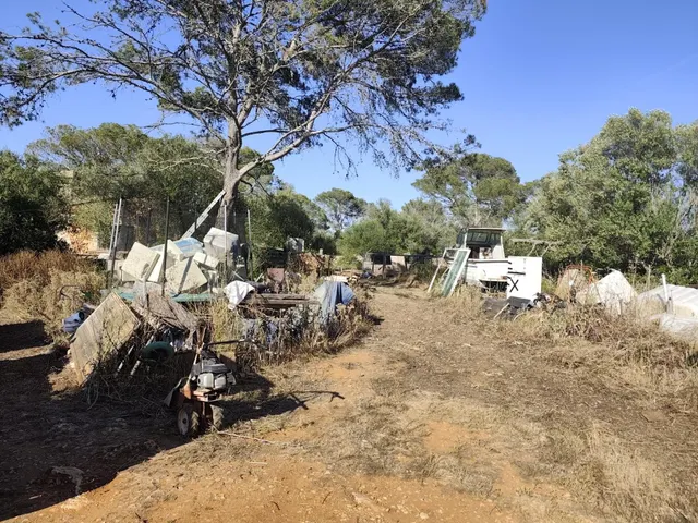 FINCA RÚSTICA AUTOSUFICIENTE EN ALGAIDA — 11