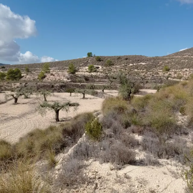 Encantadora Finca Rústica en Hondon de las Nieves con Vistas - foto 5