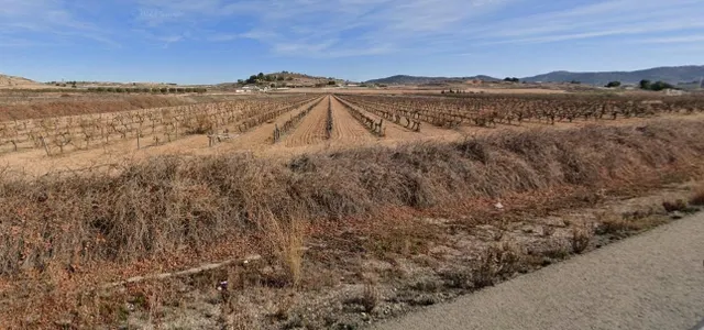 Terreno rural 66100m² en venta - Comunidad valenciana - foto 2