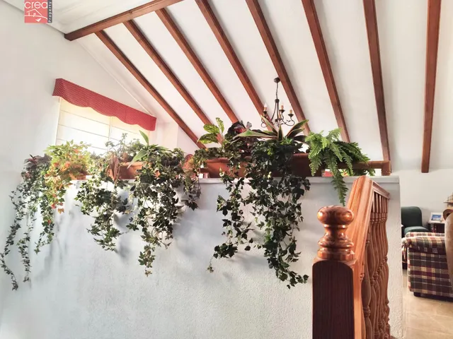 SE VENDE CHALET EN LA MEJOR ZONA DE TORRE PACHECO — 7