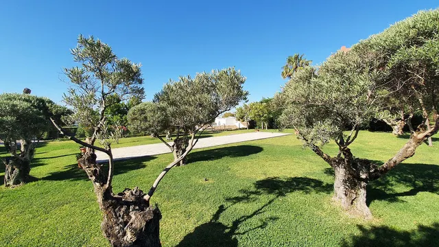 Apartamento 2 habitaciones 90m² en venta - Centro — 21