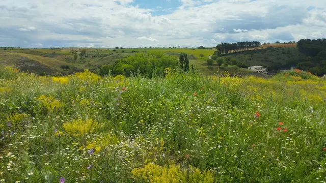 Terreno urbano en venta - Fuentelencina — 11
