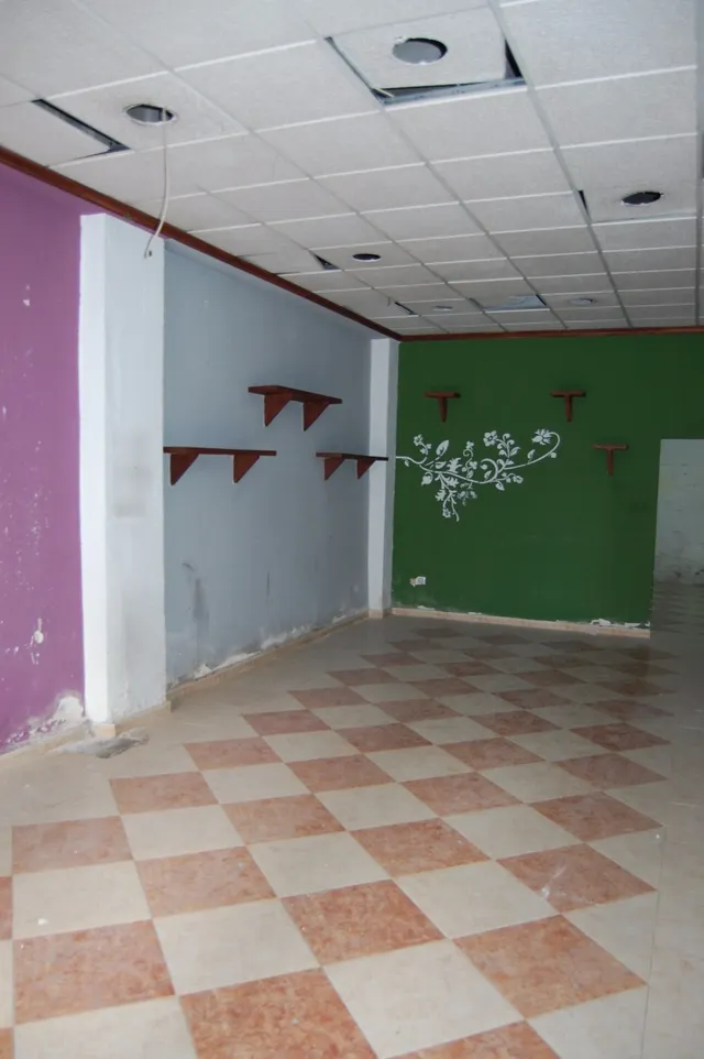 LOCAL DE 100M2 PARA REFORMAR, EN ZONA FERIA . — 11
