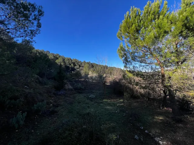 Finca en el parque natural de Mariola. — 19