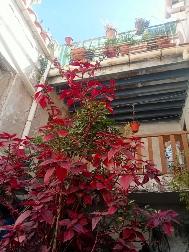 hermosos adosado — 39